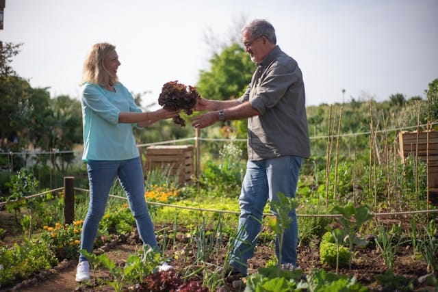 5 Dos and Don’ts When Lending Money to Loved Ones